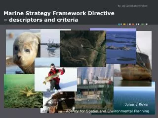 Marine Strategy Framework Directive – descriptors and criteria
