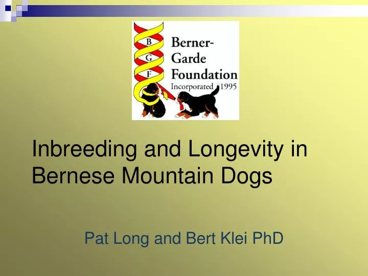inbreeding and longevity in bernese mountain dogs