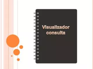 Visualizador consulta