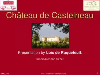 Château de Castelneau