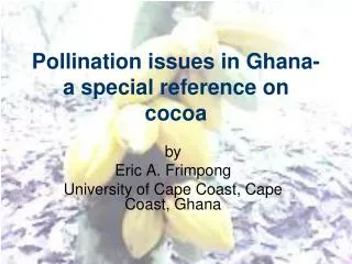 Pollination issues in Ghana- a special reference on cocoa
