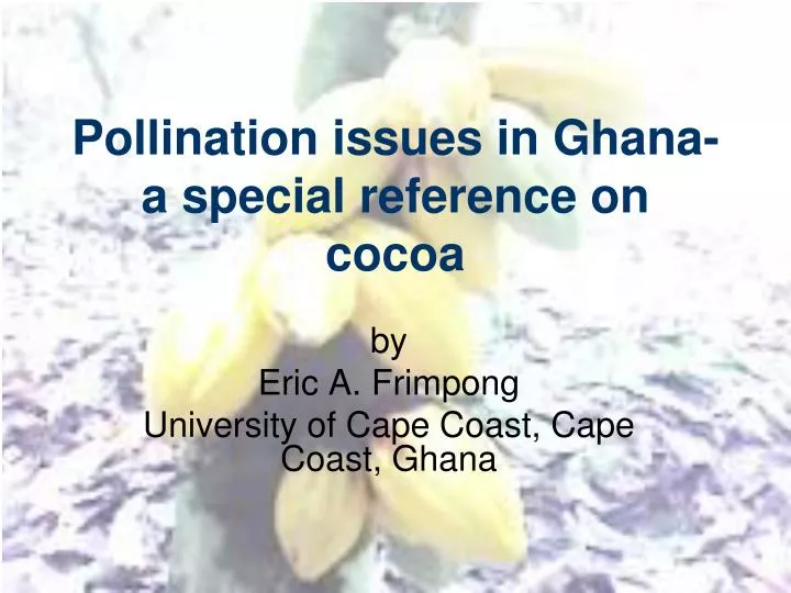 pollination issues in ghana a special reference on cocoa