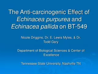 The Anti-carcinogenic Effect of Echinacea purpurea and Echinacea pallida on BT-549