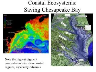 Coastal Ecosystems: Saving Chesapeake Bay