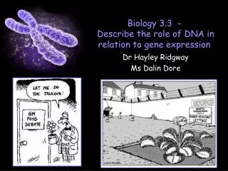 Biology 3.3 - Describe the role of DNA in relation to gene expression