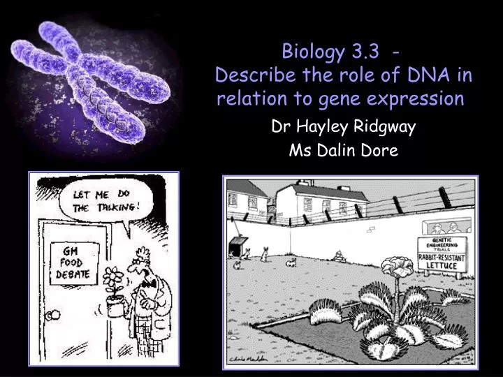 biology 3 3 describe the role of dna in relation to gene expression
