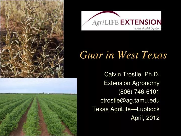 guar in west texas