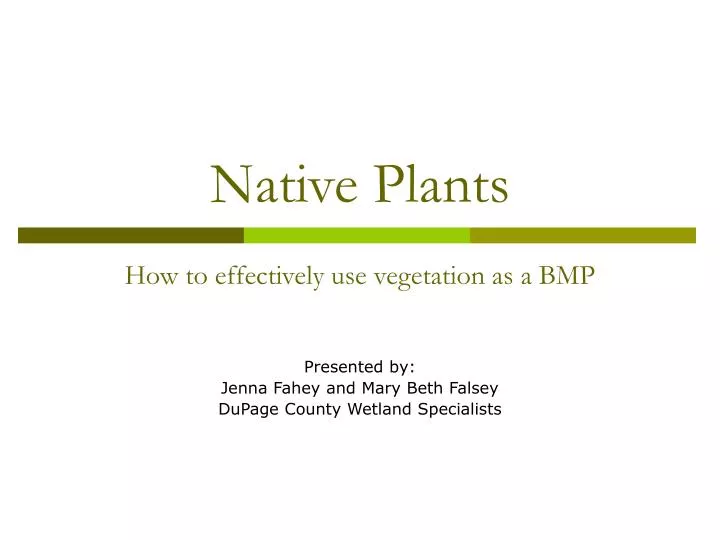 native plants