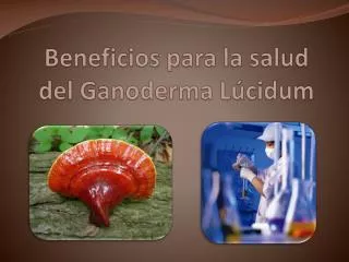 Beneficios para la salud del Ganoderma Lúcidum