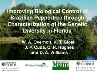 Improving Biological Control of Brazilian Peppertree through Characterization of the Genetic Diversity in Florida