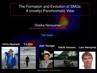 The Formation and Evolution of SMGs: A (mostly) Panchromatic View