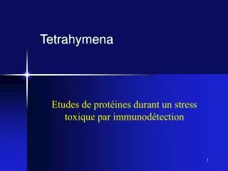 Tetrahymena