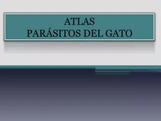 ATLAS PARÁSITOS DEL GATO
