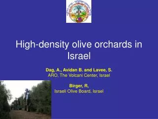 High-density olive orchards in Israel