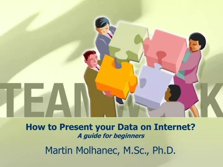 how to present your data on internet a guide for beginners