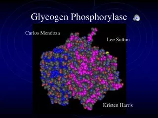 Glycogen Phosphorylase