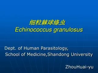 细粒棘球绦虫 Echinococcus granulosus
