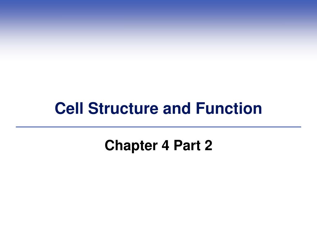 PPT - Cell Structure and Function PowerPoint Presentation, free ...