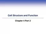 Cell Structure and Function - slide 1