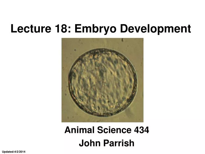 lecture 18 embryo development