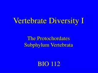 Vertebrate Diversity I The Protochordates Subphylum Vertebrata