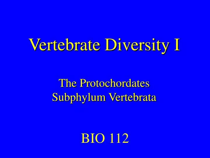 vertebrate diversity i the protochordates subphylum vertebrata