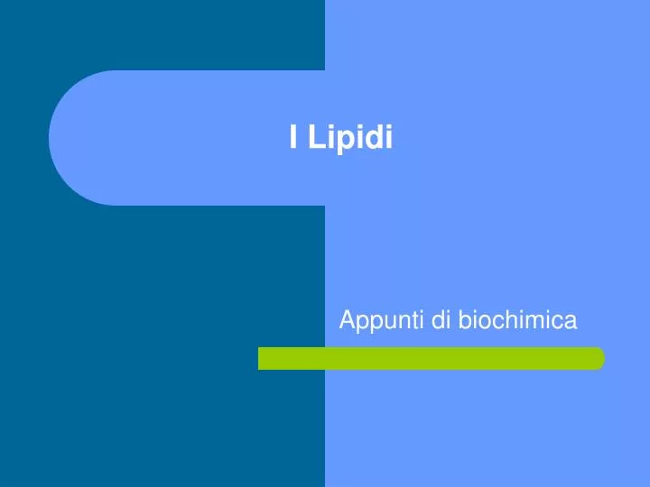 i lipidi