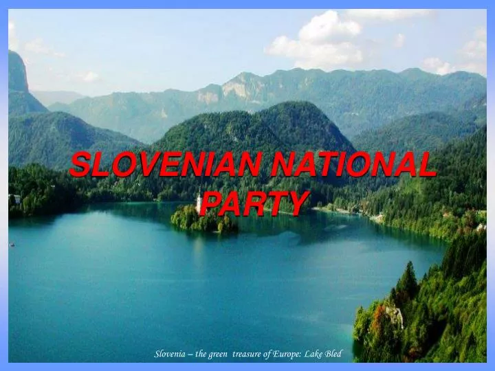 slovenian national party