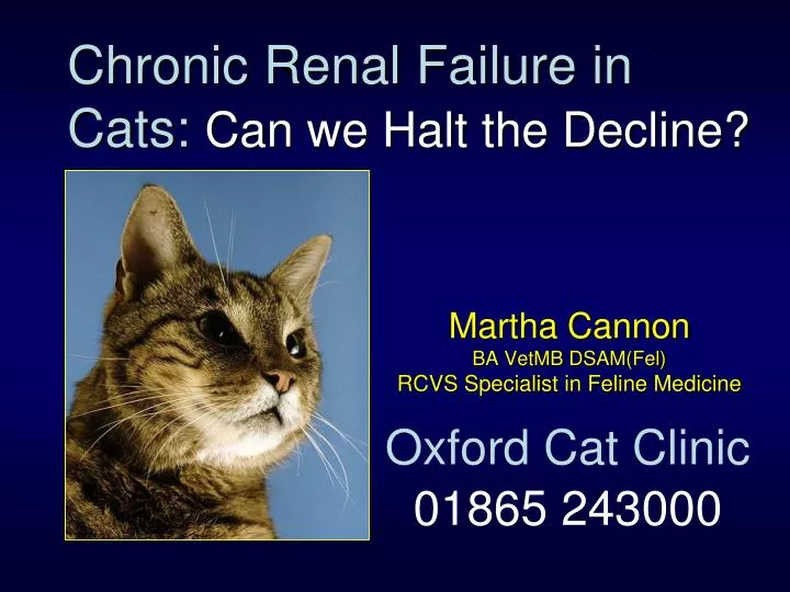 chronic renal failure in cats can we halt the decline