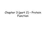 PPT - Chapter 5 Protein Function PowerPoint Presentation, Free Download ...