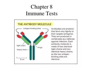 Chapter 8 Immune Tests