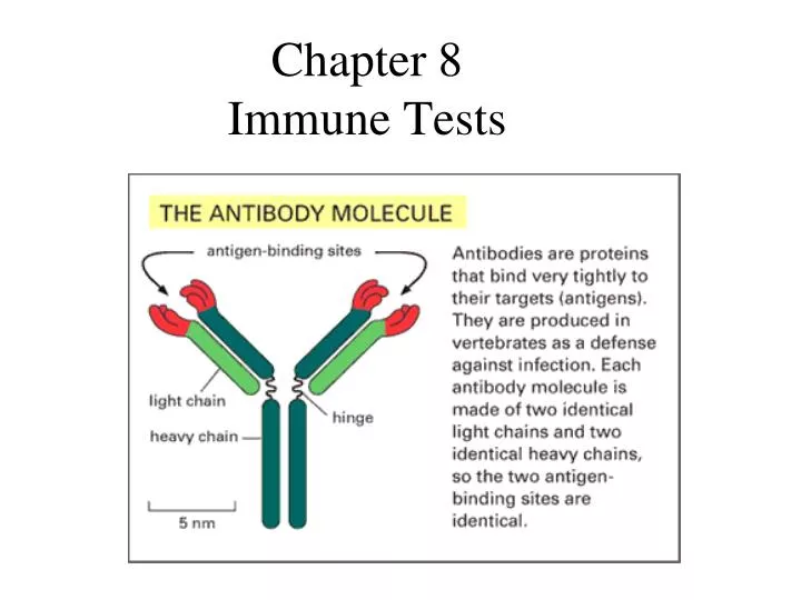 chapter 8 immune tests
