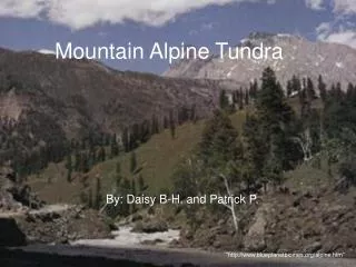 Mountain Alpine Tundra