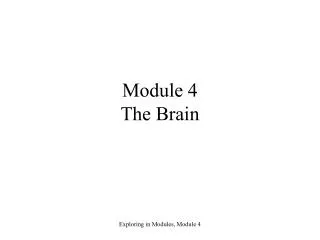 Module 4 The Brain