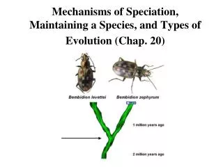 Mechanisms of Speciation, Maintaining a Species, and Types of Evolution (Chap. 20)