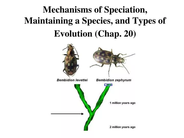 mechanisms of speciation maintaining a species and types of evolution chap 20