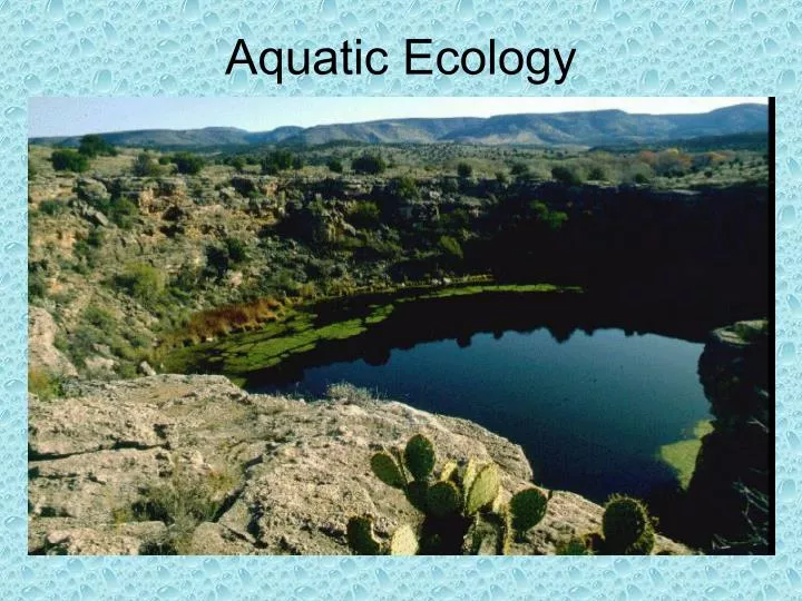 aquatic ecology