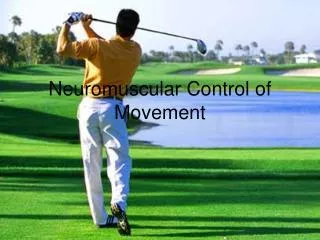 Neuromuscular Control of Movement
