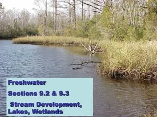 Freshwater Sections 9.2 &amp; 9.3 Stream Development, Lakes, Wetlands