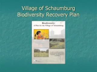 Village of Schaumburg Biodiversity Recovery Plan