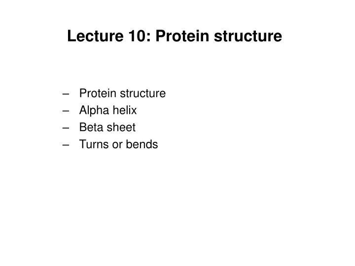 lecture 10 protein structure