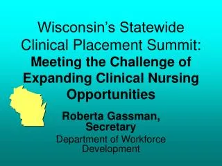 Wisconsin’s Statewide Clinical Placement Summit: Meeting the Challenge of Expanding Clinical Nursing Opportunities