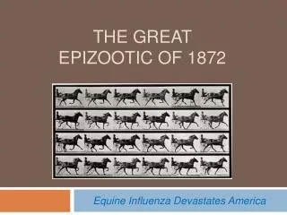 The great epizootic of 1872