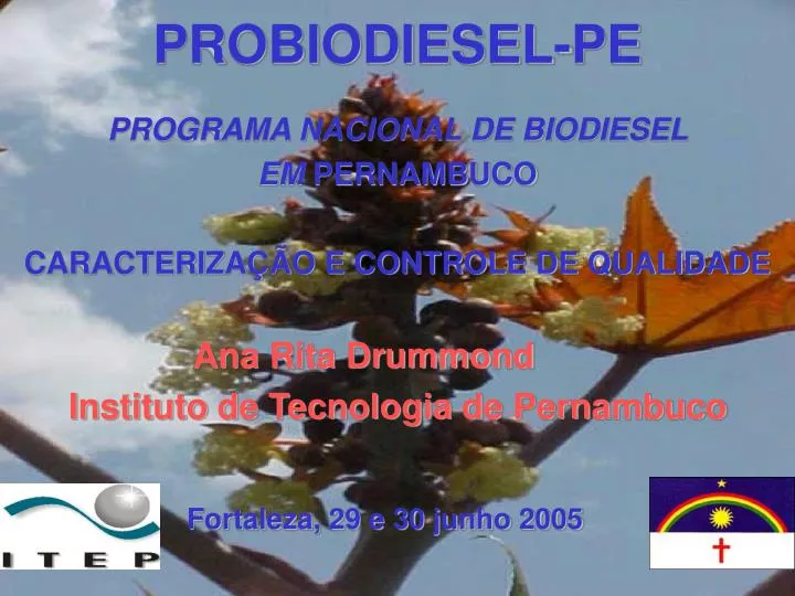 probiodiesel pe
