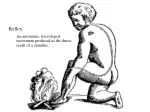 Reflex: An automatic, stereotyped movement produced as the direct result of a stimulus. - slide 1