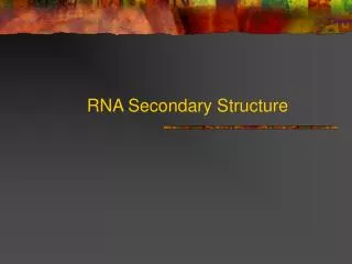 RNA Secondary Structure