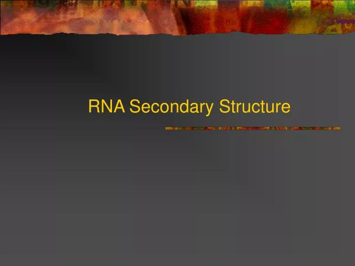 rna secondary structure