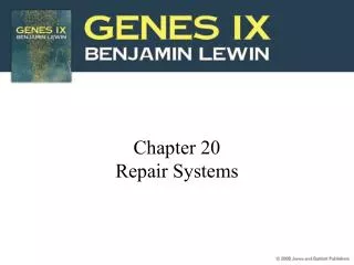 Chapter 20 Repair Systems
