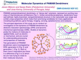 Molecular Dynamics of PAMAM Dendrimers
