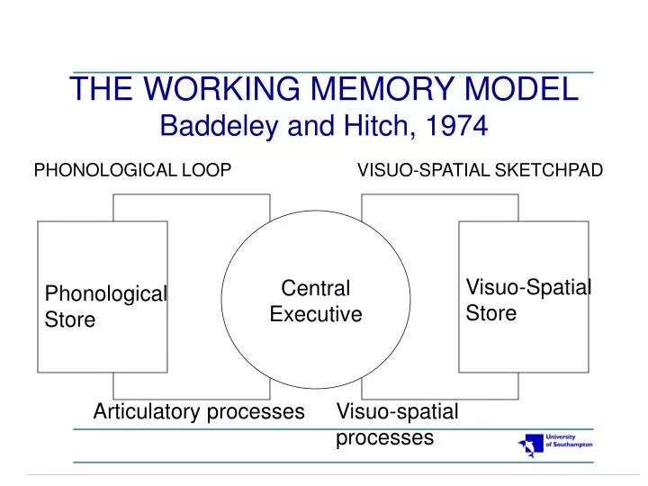 the working memory model baddeley and hitch 1974